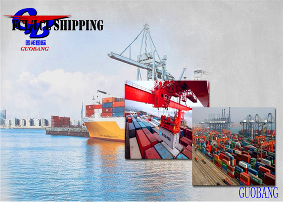 نوع الشحن المرن والمهني LCL إلى فيجي من Shenzhen Freight Services