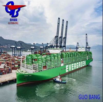 نوع الشحن المرن والمهني LCL إلى فيجي من Shenzhen Freight Services