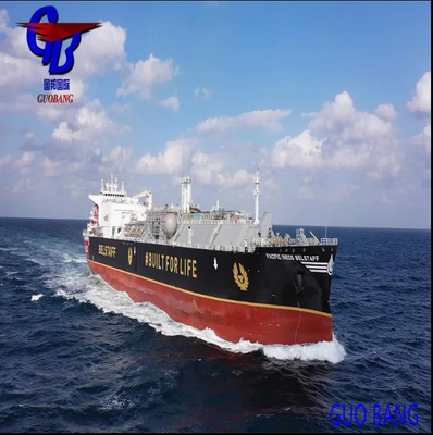 نوع الشحن المرن والمهني LCL إلى فيجي من Shenzhen Freight Services