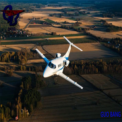 القدرة الجمركية والشحن السريع الدولي من وإلى هولندا للاستيراد المريح