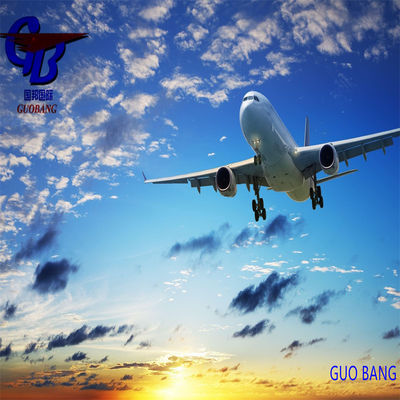 القدرة الجمركية والشحن السريع الدولي من وإلى هولندا للاستيراد المريح