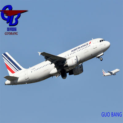 القدرة الجمركية والشحن السريع الدولي من وإلى هولندا للاستيراد المريح