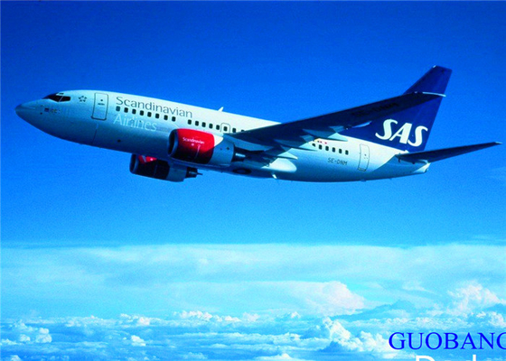 شركة SGS الصينية إلى وكيل شحن SKG الدولي