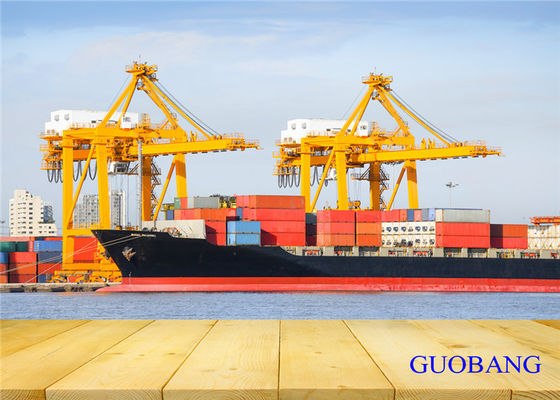 شحن بحري 20GP من الصين إلى نيوزيلندا