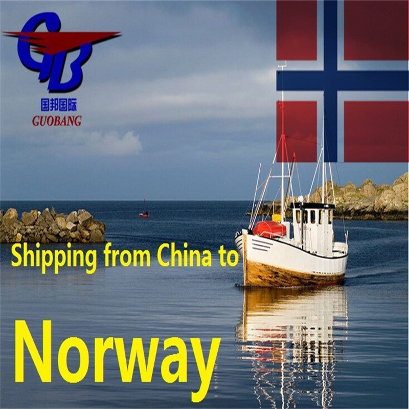 الشحن من وإلى النرويج مع الخدمة الاحترافية CIQ/CO/FORM A/ SOSA/CCPIT مُصدق عليها وعرض تنافسي للغاية