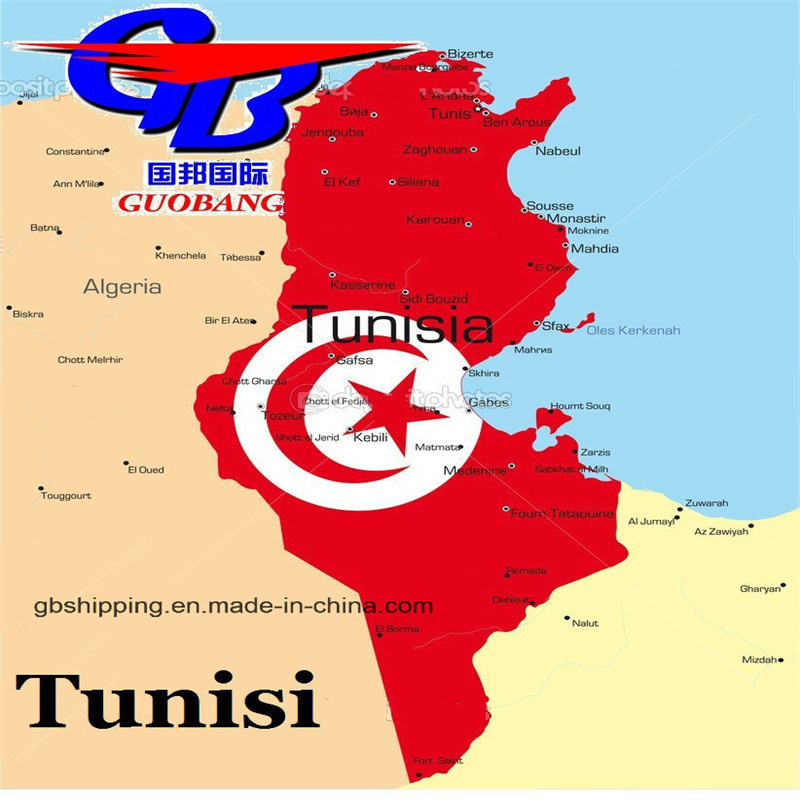 خدمة محطة واحدة للحجز-التقاط-التخليص الجمركي على متن الشحن الجوي إلى تونس حلول النقل الجوي