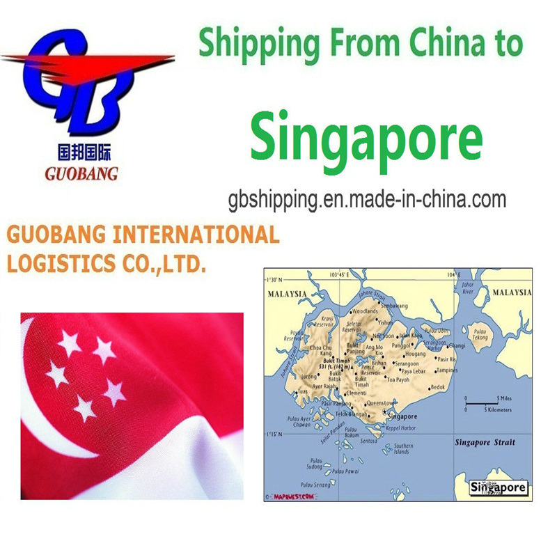 شاحنات الاستلام من الموردين إلى الميناء/المستودع الشحن الجوي من إلى سنغافورة خدمة الطيران الدولية