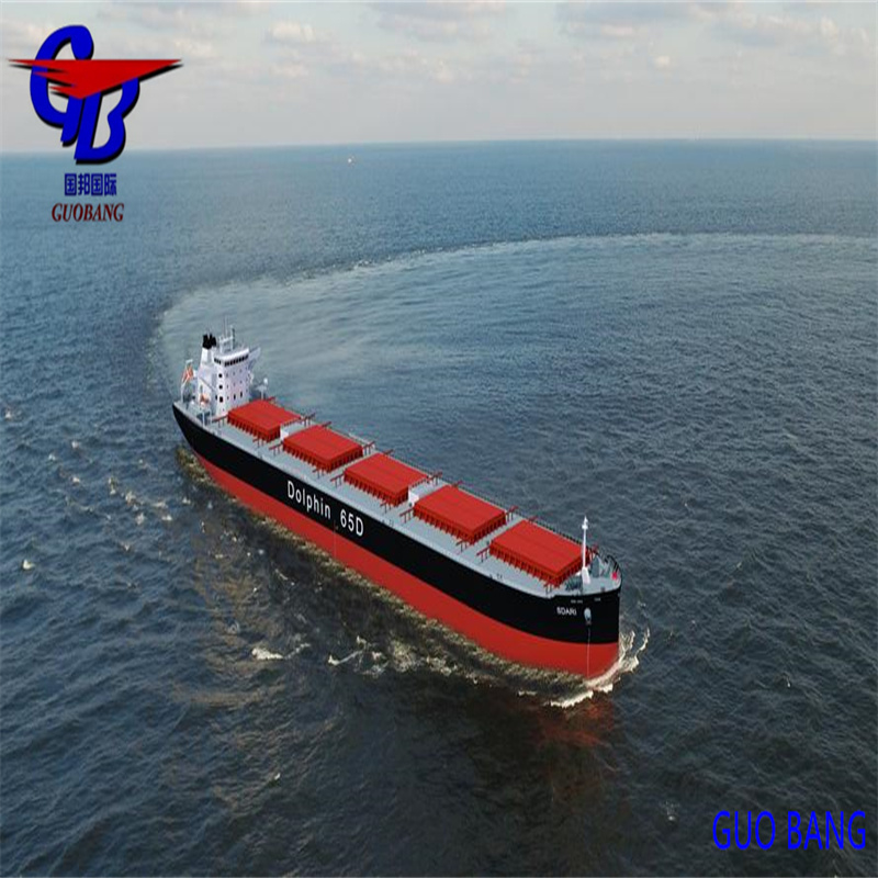 الملاحة البحرية FCL/LCL يوميًا إلى دولة الإمارات العربية المتحدة الشرق الأوسط مع الملاحة البحرية والشحن البحري يوميًا