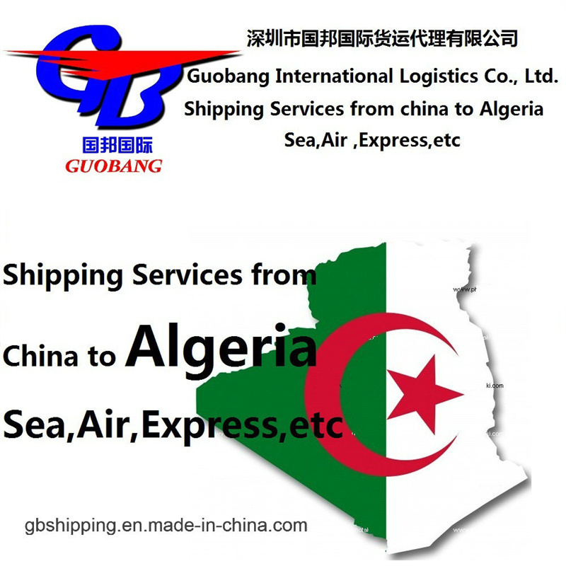 الشحن إلى الجزائر عن طريق البحر الشحن الجوي يعمل بشكل جيد مع CZ Service Tianjin
