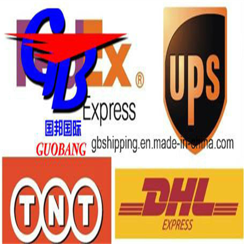 "غوبانغ غوبانغ" شركة اللوجستيات الدولية الشحن البحري يعمل بشكل جيد مع "مسك يو بي إس" الشحن من "فرنسا"